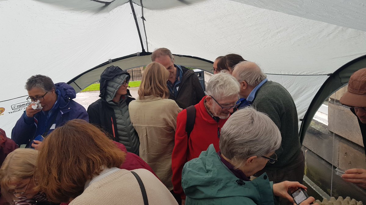 Anthony McCluskey tweet media