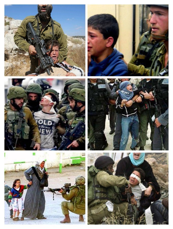 Mazharma's tweet photo. A normal day in occupied palestine https://t.co/TrMBqcU24F