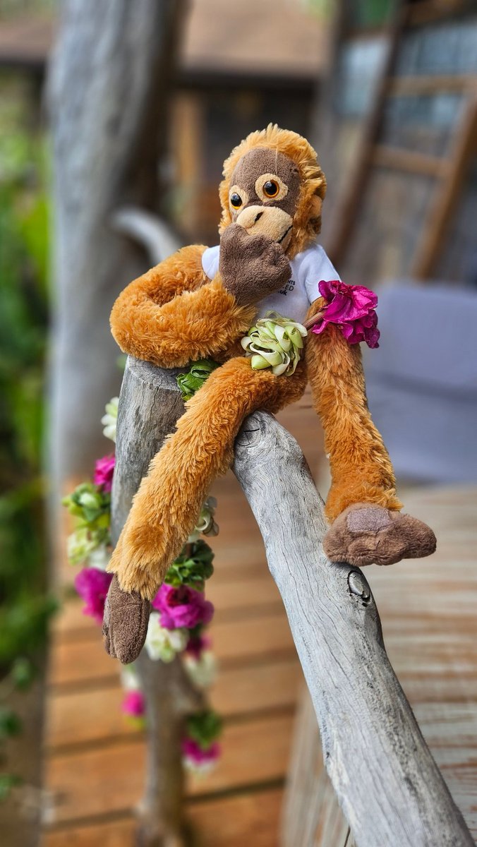 InLoco Events Ltd tweet media