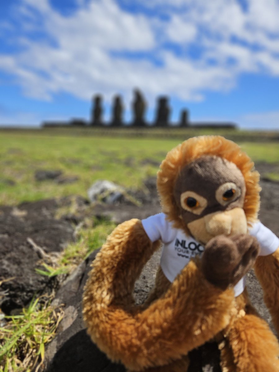 InLoco Events Ltd tweet media