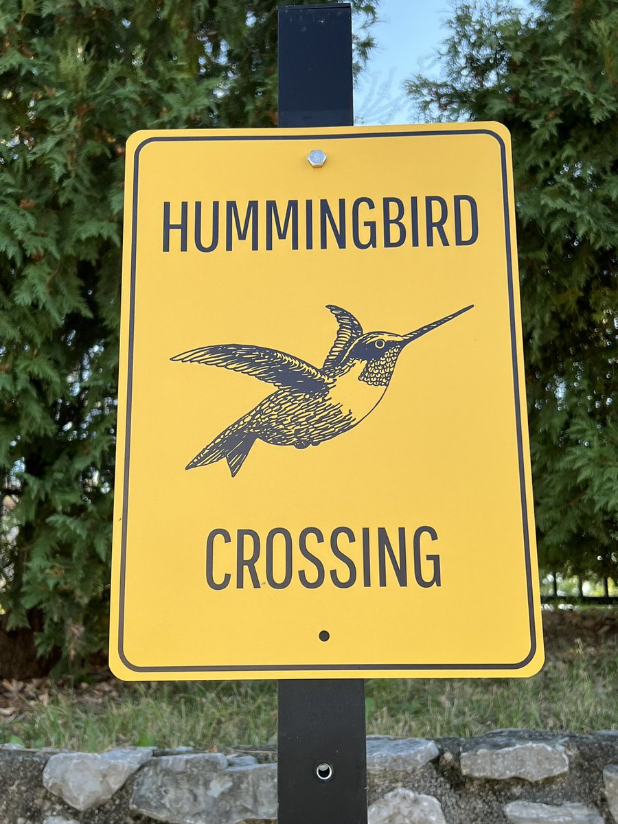 carlamichaels's tweet image. 🖤 #hummingbird #streetsign #nature #Hendersonville #Tennessee #USA