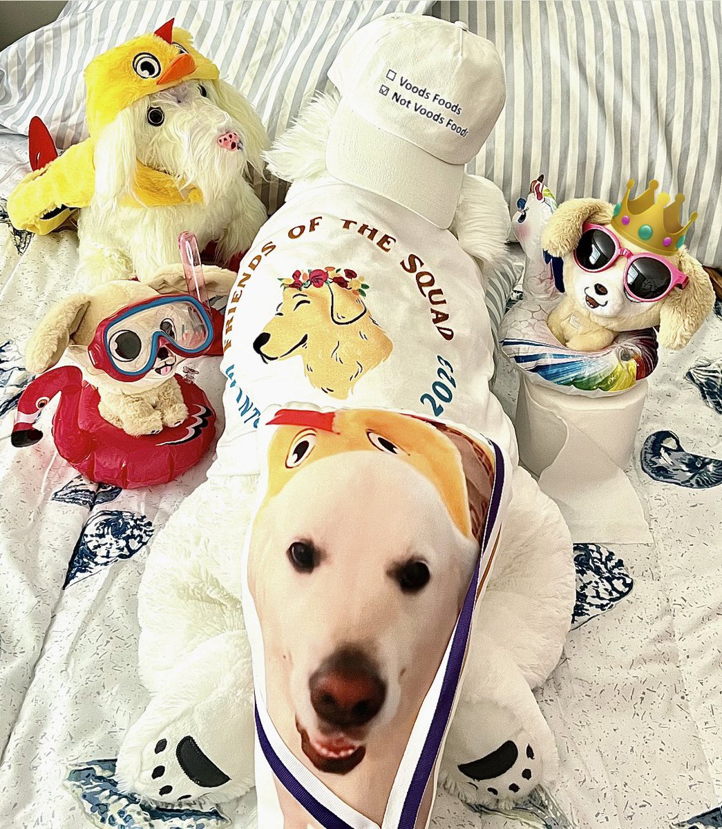 StuffieVoods's tweet photo. #StuffieCouncil admiring the #FoTSWinterPark t-shirt
for GR Momβs book signing Meetup. ππ₯Ή
Queen Hopps presided ππ
Much discussion of where t-shirts for the rest of the members are?!
#SQUERD https://t.co/WIb4yb9S07