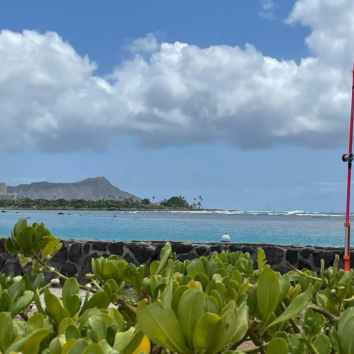 Beautiful Diamond Head