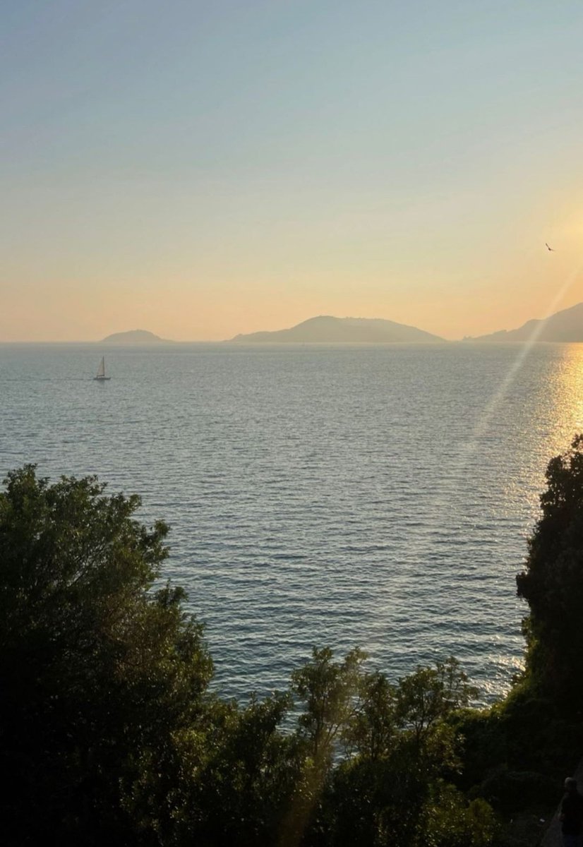 Mondo_di_Sabry's tweet image. Quella sensazione meravigliosa di sentirmi meno sola, quella gioia, quella Felicità nel Cuore, che provo sempre quando Condividi con noi i tuoi momenti💓
Grazie dal profondo del cuore, Ermal, di non lasciarci #MaiSoli 🐺
Sei Unico e Speciale❤️🫂
#MaiSolo 

@MetaErmal
#ErmalMeta