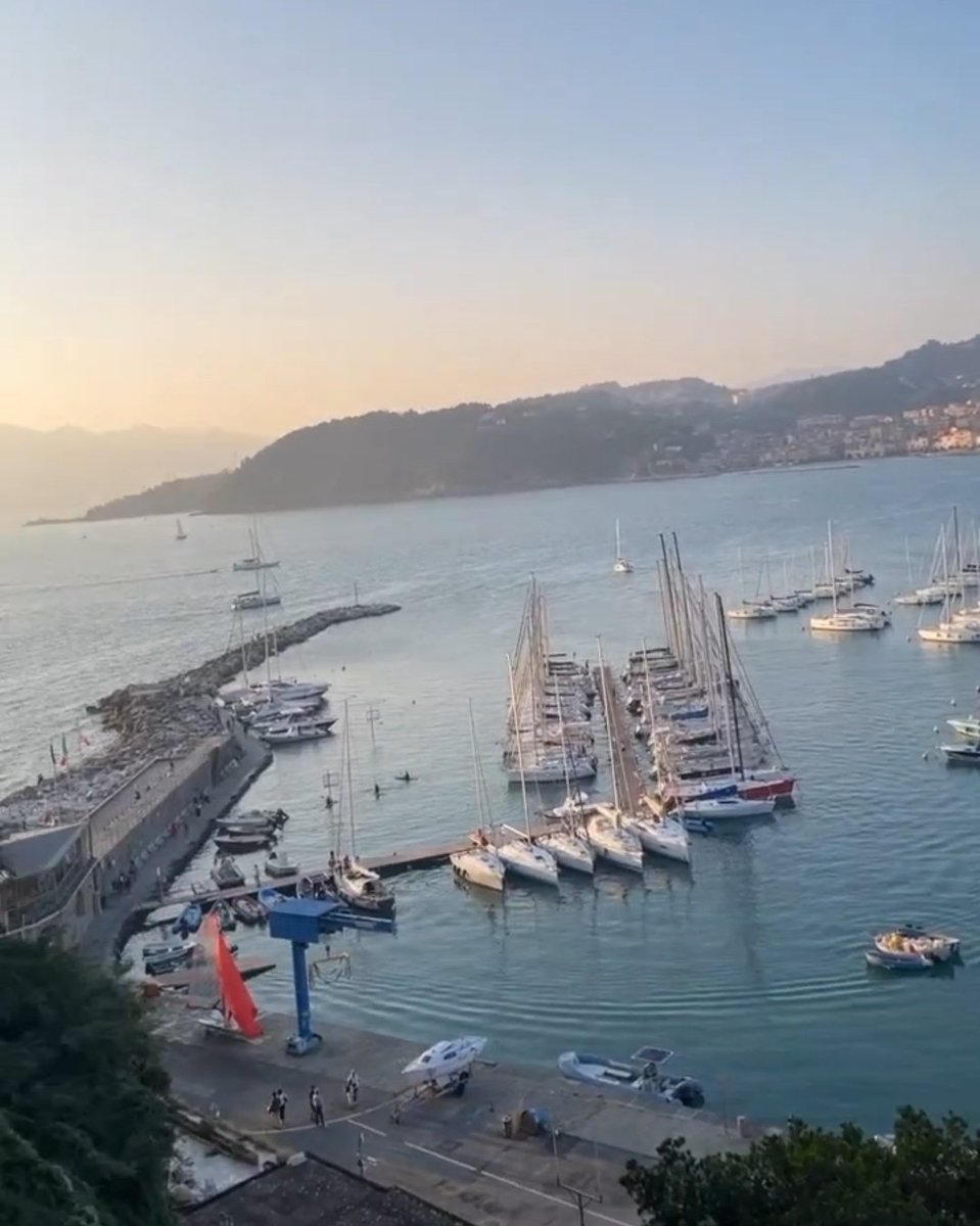 Mondo_di_Sabry's tweet image. Quella sensazione meravigliosa di sentirmi meno sola, quella gioia, quella Felicità nel Cuore, che provo sempre quando Condividi con noi i tuoi momenti💓
Grazie dal profondo del cuore, Ermal, di non lasciarci #MaiSoli 🐺
Sei Unico e Speciale❤️🫂
#MaiSolo 

@MetaErmal
#ErmalMeta