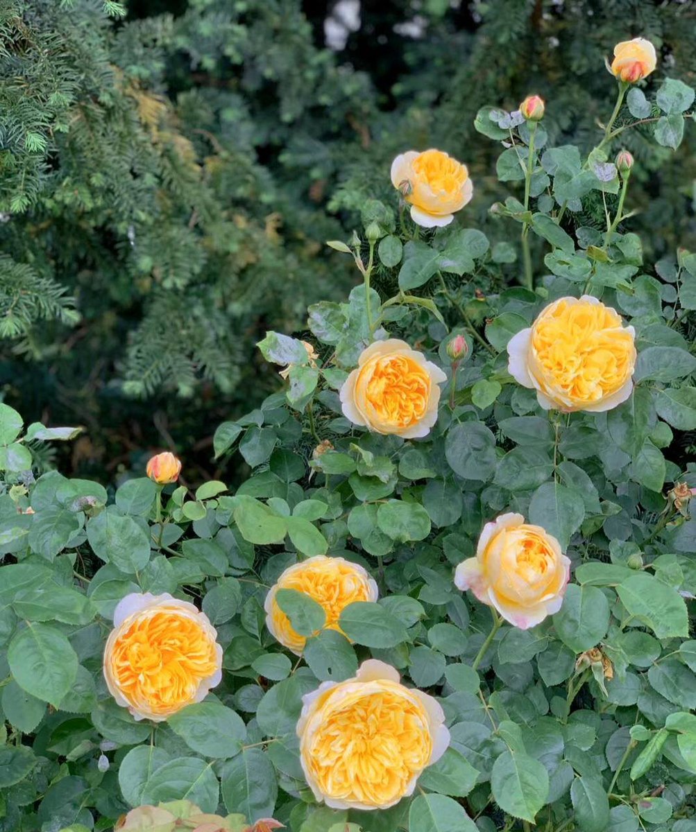 [ Album ]
On Saturday, I went to the park to relax, so I'm sorry that I didn't have much time to talk with my friends today.