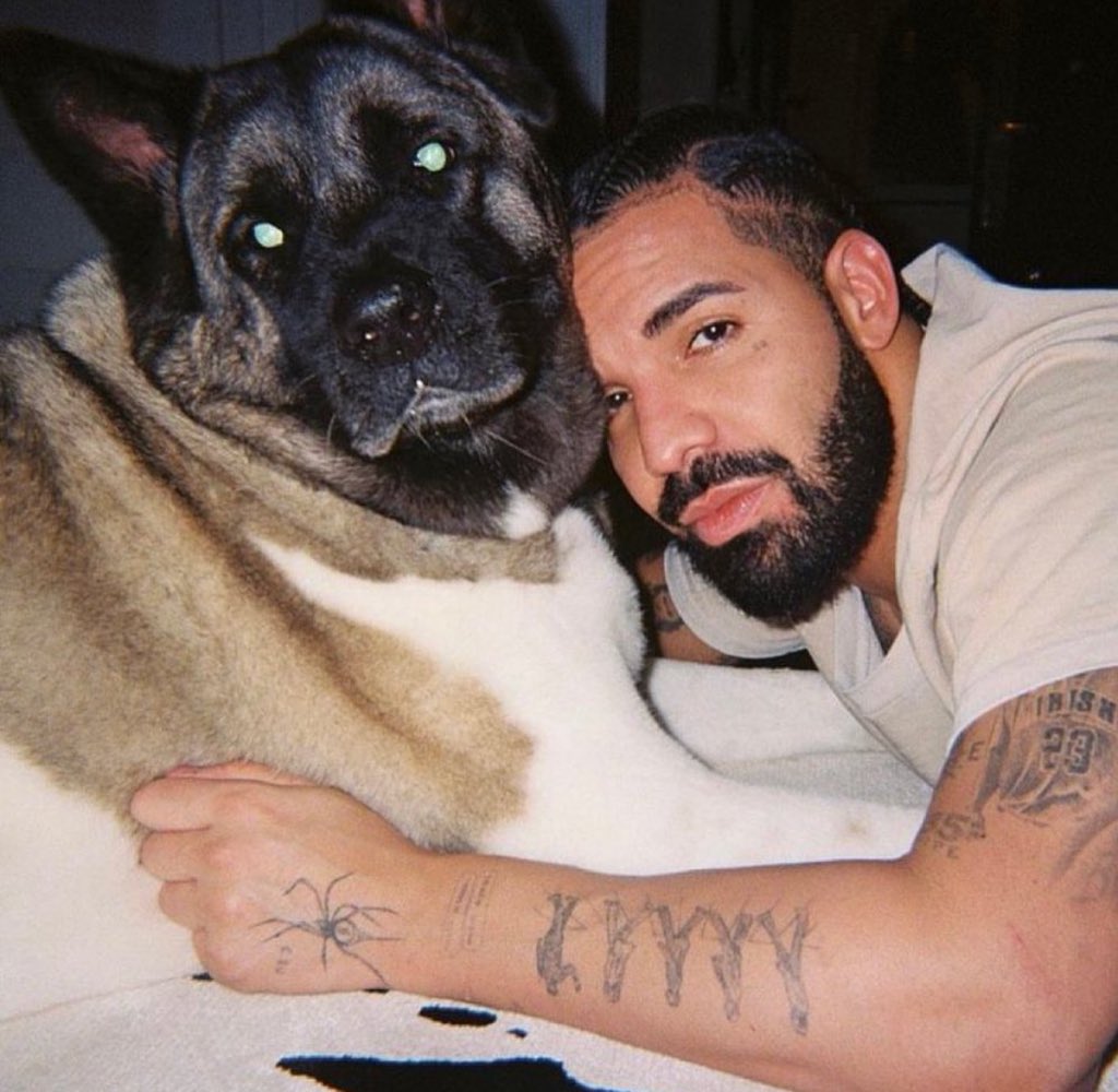 WORLDMUSICAWARD's tweet photo. #Drake charts all 23 songs from his new album #ForAllTheDogs on the Global Spotify chart! 💪👨🎤📈2⃣3⃣🎶💿💥🌎🎧🔥👑🖤
#1. #VirginiaBeach — 8.09 Million Streams
#2. #FirstPersonShooter — 8.06M
#3. #IDGAF — 7.59M
#4. #CallingForYou — 7.3M
#7. #FearofHeights — 6.3M
#8. #Amen — 6.2M
#10. #Daylight — 6.1M
#12. #SlimeYouOut — 5.4M
#13. #7969Santa — 5.08M
#15. #Gently — 4.76M
#21. #BahamaPromises — 4.11M
#23. #TriedOurBest — 4.01M
#24. #8aminCharlotte — 3.78M
#25. #MembersOnly — 3.68M
#26. #RichBabyDaddy — 3.63M
#27. #DrewAPicasso — 3.58M
#28. #WhatWouldPlutoDo — 3.53M
#29. #AllTheParties — 3.52M
#32. #AnotherLateNight — 3.13M
#36. #ScrewTheWorld — 2.98M
#46. #AwayFromHome — 2.65M
#49. #BBLLove — 2.6M
#51. #PolarOpposites — 2.39M