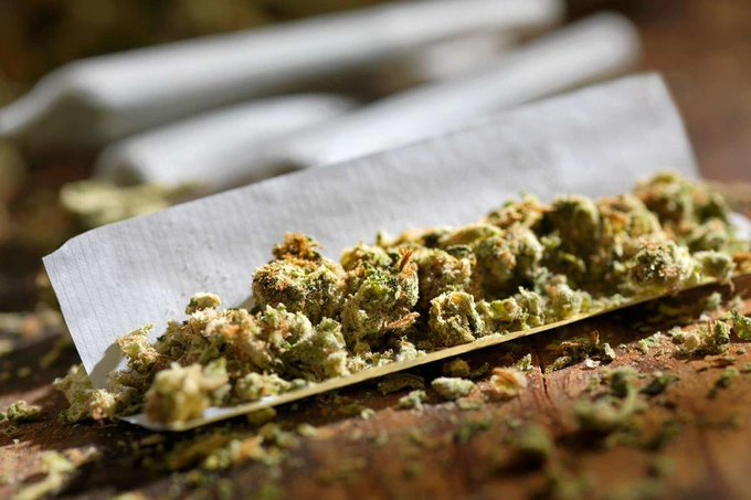 Dr. Jeff Rabinowitz (VotedBlueIn2022) 🇺🇦 tweet media