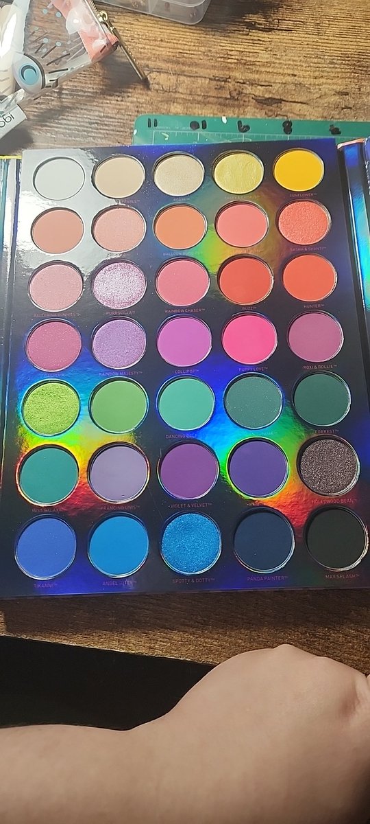 FictionalEnigma's tweet image. I love this thing so much. #Lisafrank #morphe