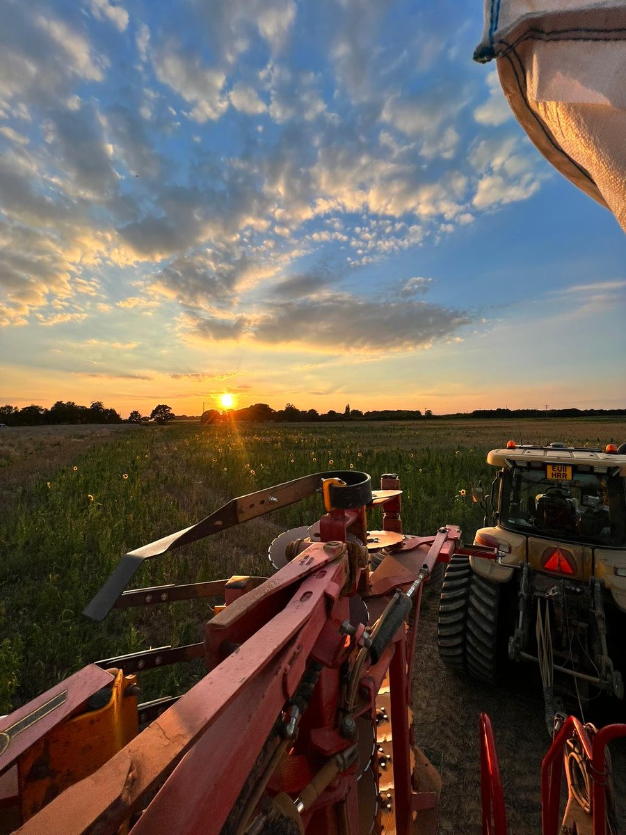 Taking a rest to take in the view ☀️ 📷️: Ben, Farm Team