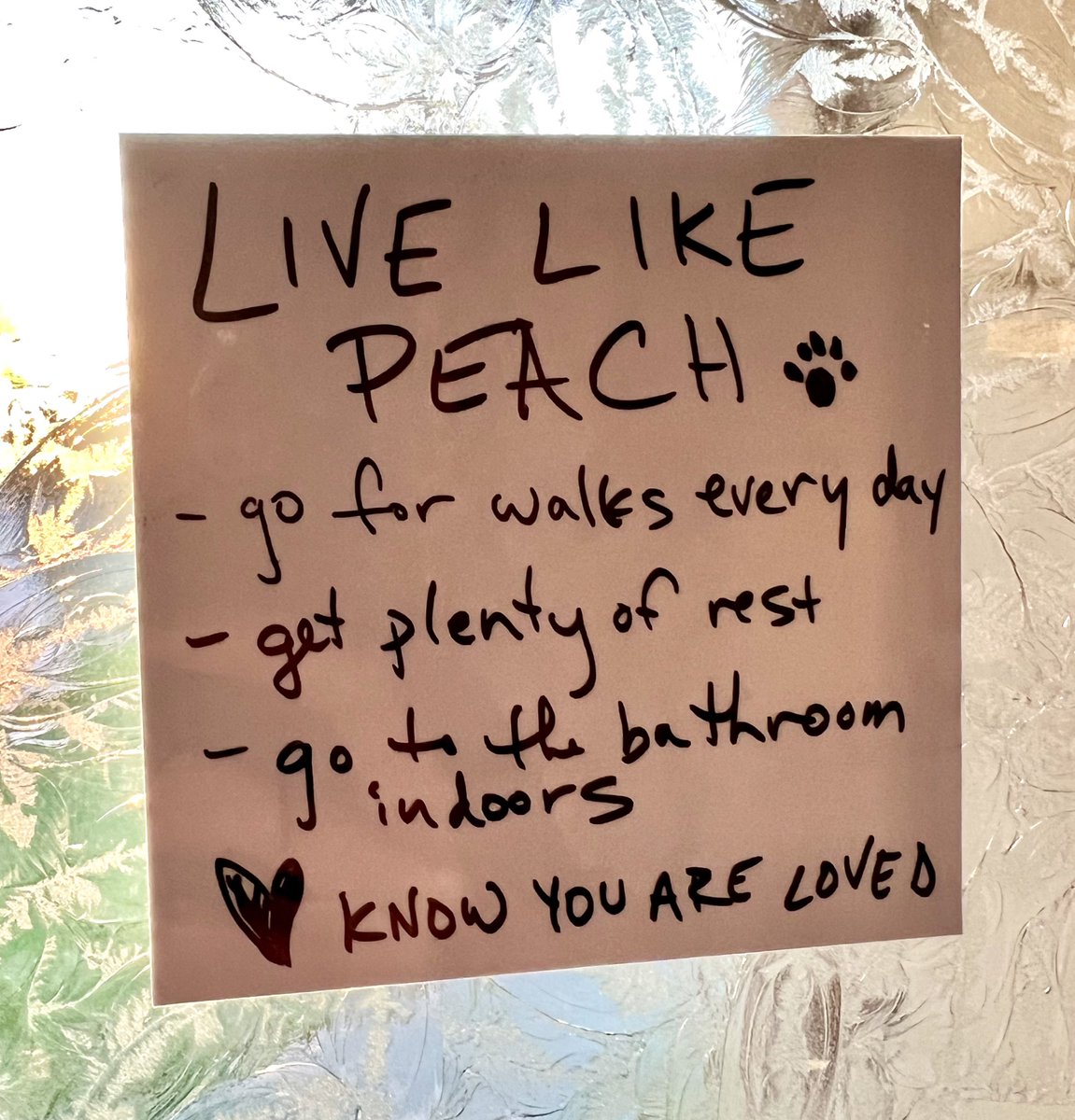Peach Reid-Simons tweet media