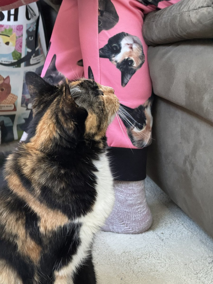 Heh <a href="/deva_marie/">Deva Marie 💙</a> got some custom Spoon &amp; Luna pj’s … Spoon checkin em out 😆