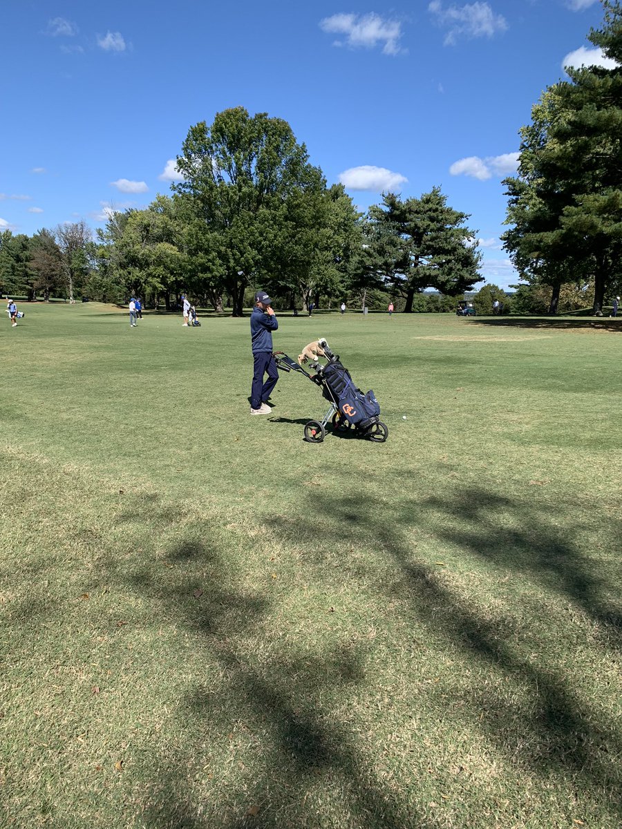 GC_GOLF's tweet photo. Landon Skees finishes his career at GC Golf with another 78. Best rounds shot by a Cougar in the state tournament in several years. We will miss him dearly. He has represented our school, program &amp; himself at the top level since he started in 6th grade. @K105sports @GCHS_AD https://t.co/WI5BXvhmLK
