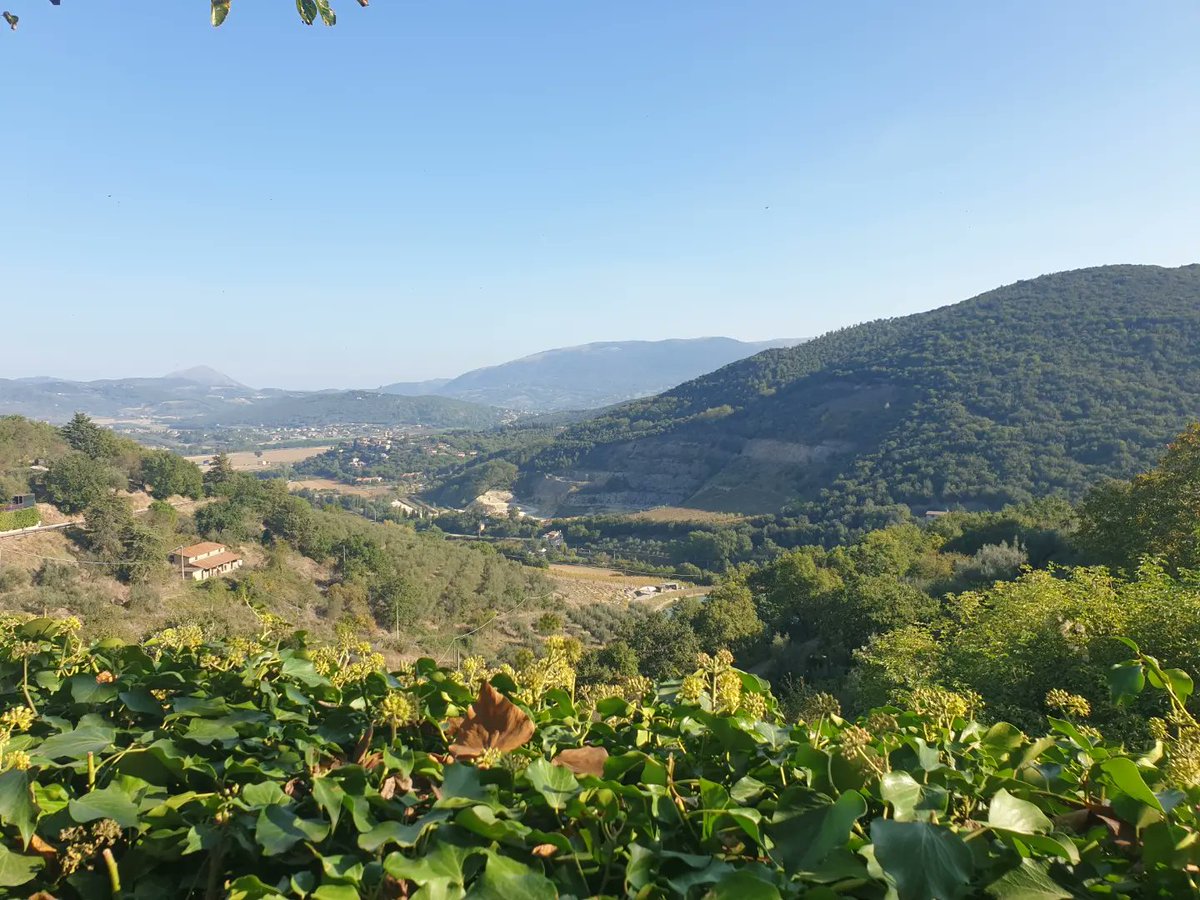 Katarina Andersson - Taste Italy With Me 🍷 tweet media