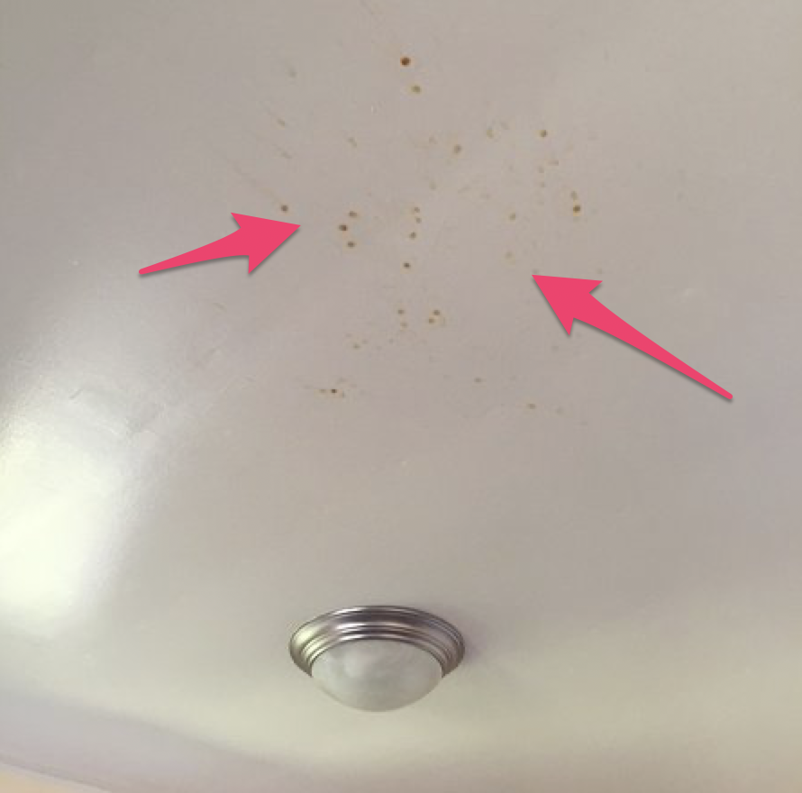 kitchen_911's tweet image. شفاط المطبخ ليس مهمته الوحيدة التخلص من رائحة الطبخ
هناك فائدة مهمة جداً الشفاط وهي الحفاظ على نظافة المطبخ من تجمع الشحوم والزيوت في سقف المطبخ وعلى كبائن المطبخ 

تجمع الشحوم يؤدي إلى انبعاث روائح كريهة جداً بالمطبخ
الشفاط حتى لو كان بدون تصريف يعمل على صيد تلك الشحوم ومنع…