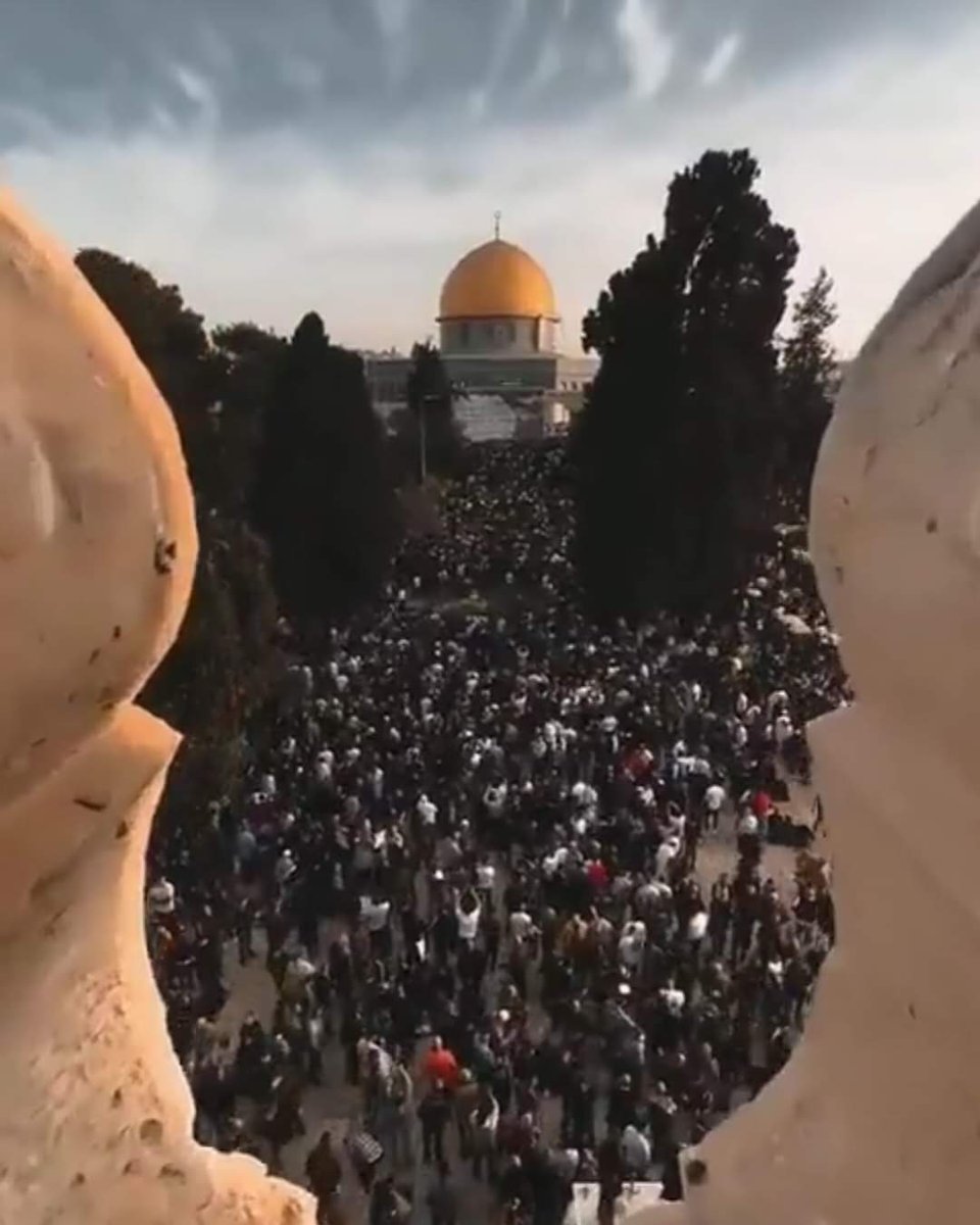 Ya Rabbi , zafer nasip eyle
#AksaTufanı
#Kudüs 
#israilBirTerörDevletidir