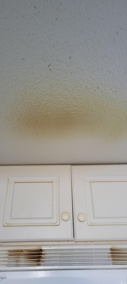 kitchen_911's tweet image. شفاط المطبخ ليس مهمته الوحيدة التخلص من رائحة الطبخ
هناك فائدة مهمة جداً الشفاط وهي الحفاظ على نظافة المطبخ من تجمع الشحوم والزيوت في سقف المطبخ وعلى كبائن المطبخ 

تجمع الشحوم يؤدي إلى انبعاث روائح كريهة جداً بالمطبخ
الشفاط حتى لو كان بدون تصريف يعمل على صيد تلك الشحوم ومنع…