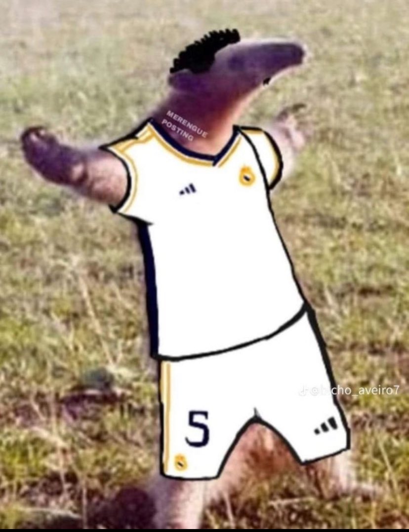 RealBrasil_BR's tweet photo. Gol do Bellingham!

Eu automaticamente: https://t.co/SLh5jiVIJu