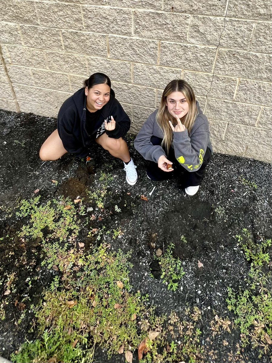 NHSBioTeach's tweet photo. Weeding and bulb planting! #BotanyBoss getting it done! https://t.co/0Hm45fbb9t