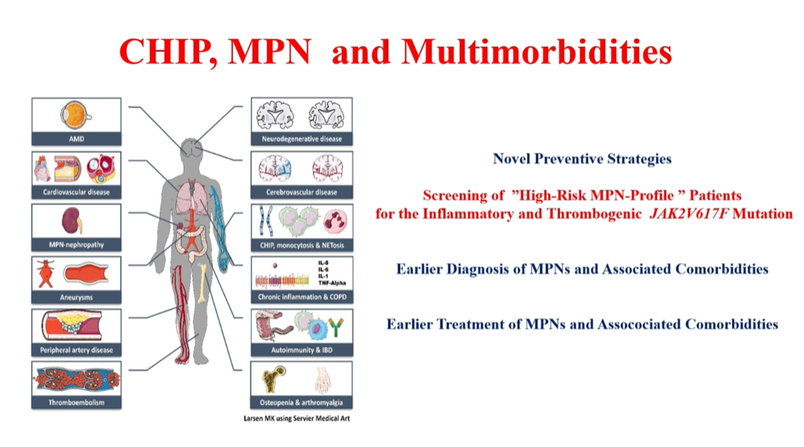 MPN_Hub's tweet photo. CONGRESS | #IACH23 | #MPNCo&D
Hans Hasselbalch @koebenhavns_uni summarizes progression of CHIP to #MPN and prevalence of JAK2V617F mutation in CVD, including association with chronic inflammation (aneurysm and early drusen development, osteoporosis, nephropathy), recurrent infection, second cancer occurrence, and chronic liver disease. Future may lie with early interferon-alpha treatment and CHIP clinics to prevent thrombosis.
@TheIACH #IACH2023 #MPNCo&D #MPN​ #MPNsm