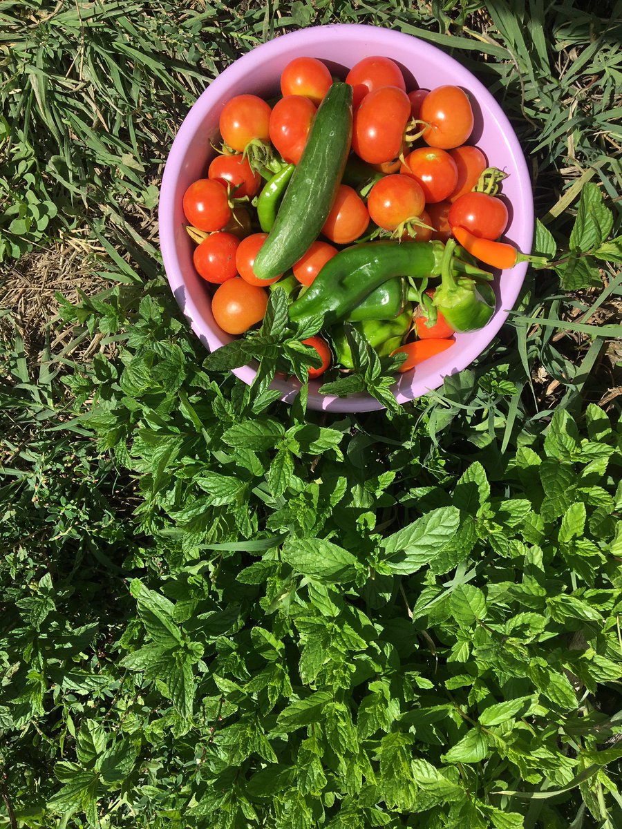 crnarsln_'s tweet photo. Son güneşli günler mi? https://t.co/Suw7idBOsr