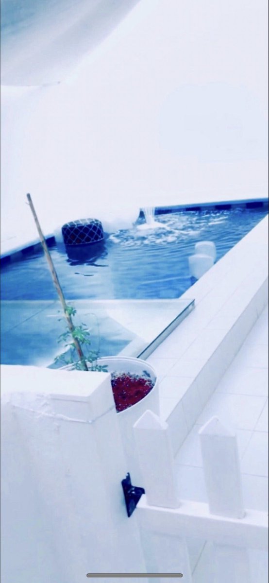 Mohammed tweet media