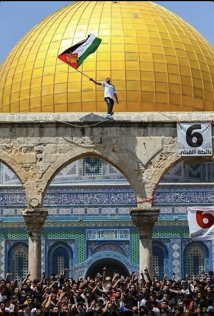 لاحقوا إخوانكم بالدعاء…
سبابتهم على الزناد..
وسبابتكم تستغيث برب العباد..
فالمعركة الحقيقية لم تبدأ بعد..
ولن يخذل الله المجاهد….الذي يتدثر بدعاء ألف ألف داع وعابد.
الدعاء، الدعاء، الدعاء.