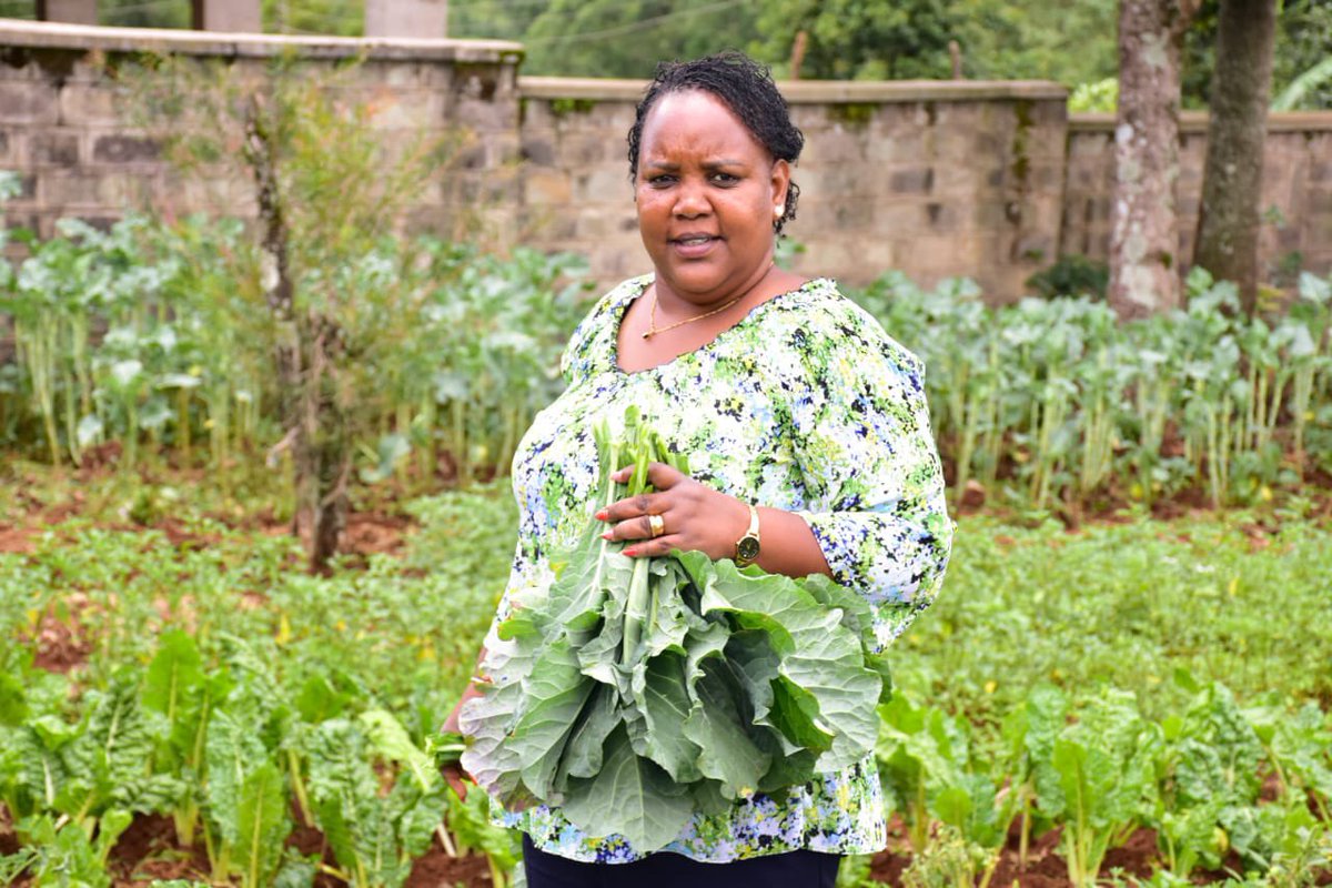 WaziriBore's tweet photo. Mvua ya Baraka ! 

Welcome to Kericho County for the Mashujaa Day celebrations on the 20th of October- You’ll enjoy fresh farm produce and world renowned Tea! https://t.co/rDus22dK9r