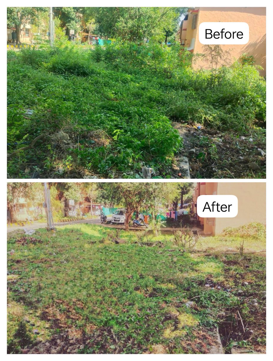 OrdnancePro's tweet photo. Grass cutting around quarters in OFDR estate area#Special Campaign 3.0 #OFDR https://t.co/dMjZXBq7Fd