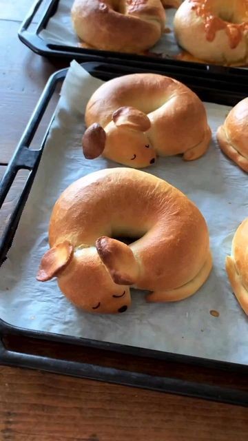 rainbow_explode's tweet photo. cute bread shapes ! 🐶🍞🐸✨🐢🌸🦀 <33 https://t.co/5ik7xBHDHO