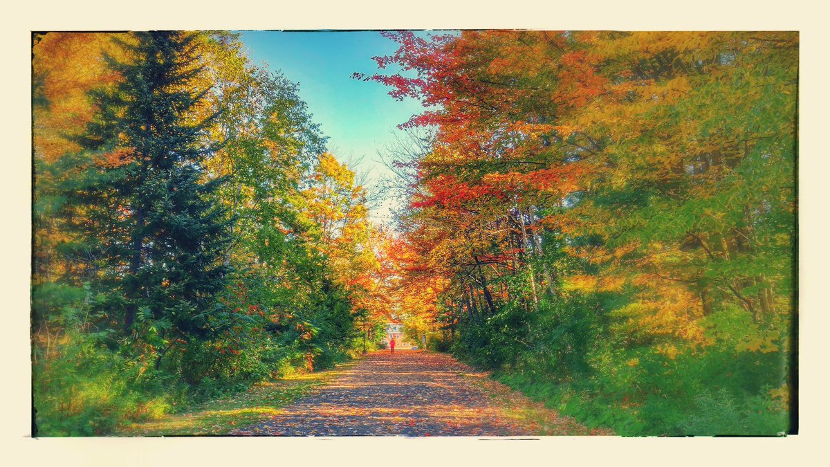 premierbhiggs's tweet photo. This Thanksgiving weekend I wish every New Brunswicker a bountiful celebration with friends, family, and loved ones.
 
Take a moment to be thankful for our peaceful province with its many blessing – its beautiful landscapes, the stunning fall colours, and the warm kindness of our many communities.
 
May you have a wonderful weekend of sharing and caring. Happy Thanksgiving!