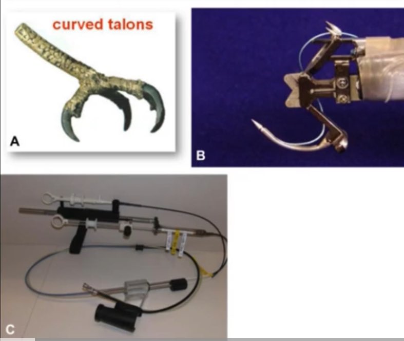 Neil Sharma, M.D. FASGE, FACG, AGAF tweet media