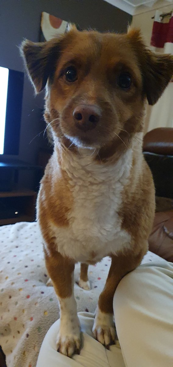 <a href="/Jessrocks71/">Jessrocks❤️🇬🇧</a> Afternoon.