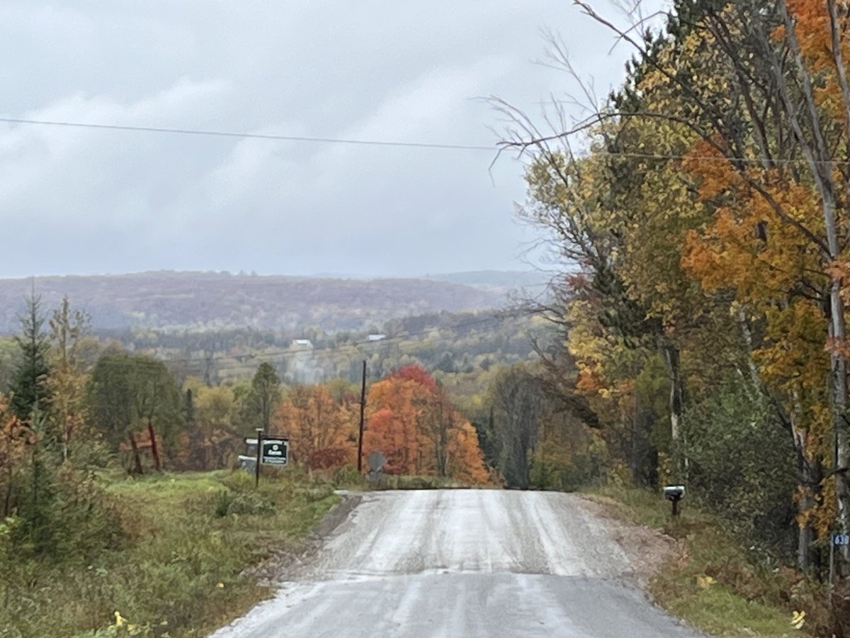 Coach_Brownie's tweet image. This is where you get your head right! #nature #fallviews ❤️🍁🍂
