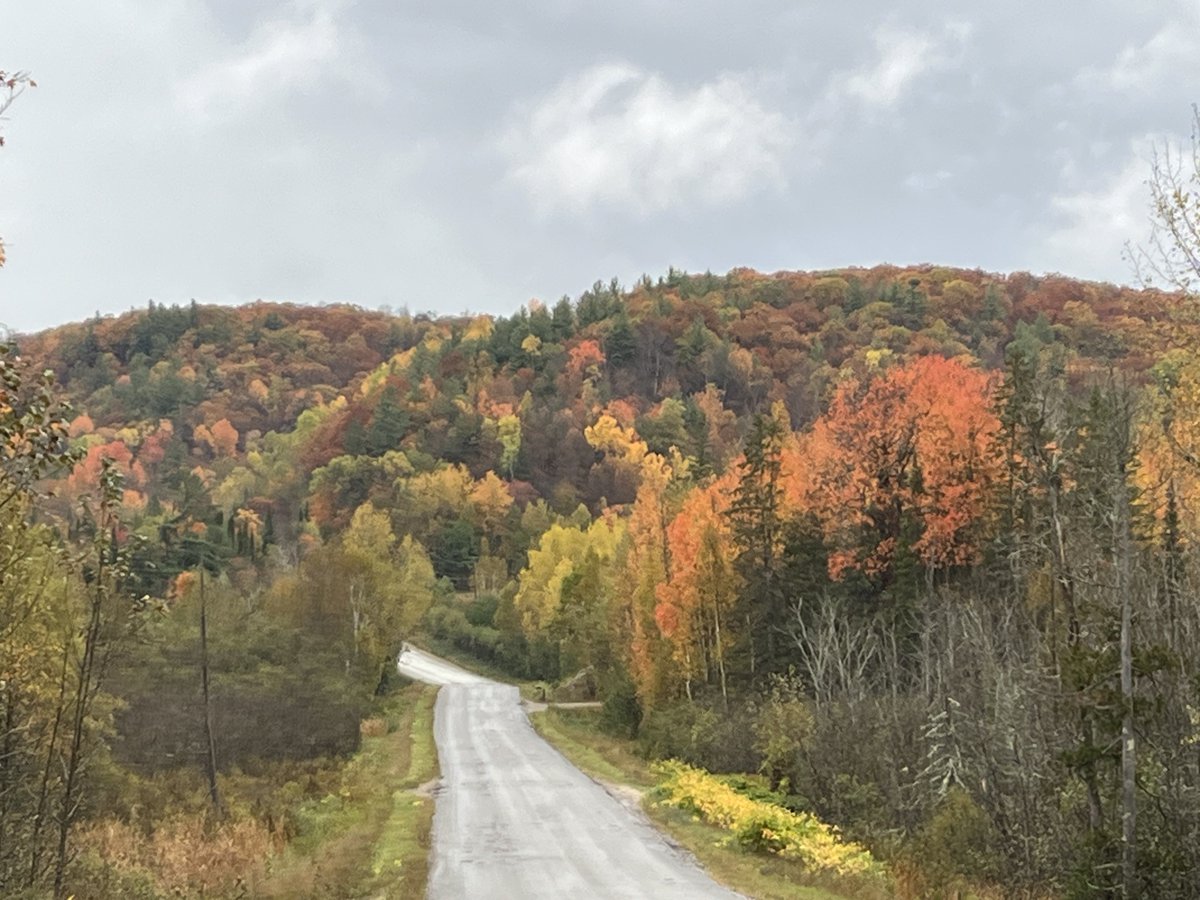 Coach_Brownie's tweet image. This is where you get your head right! #nature #fallviews ❤️🍁🍂