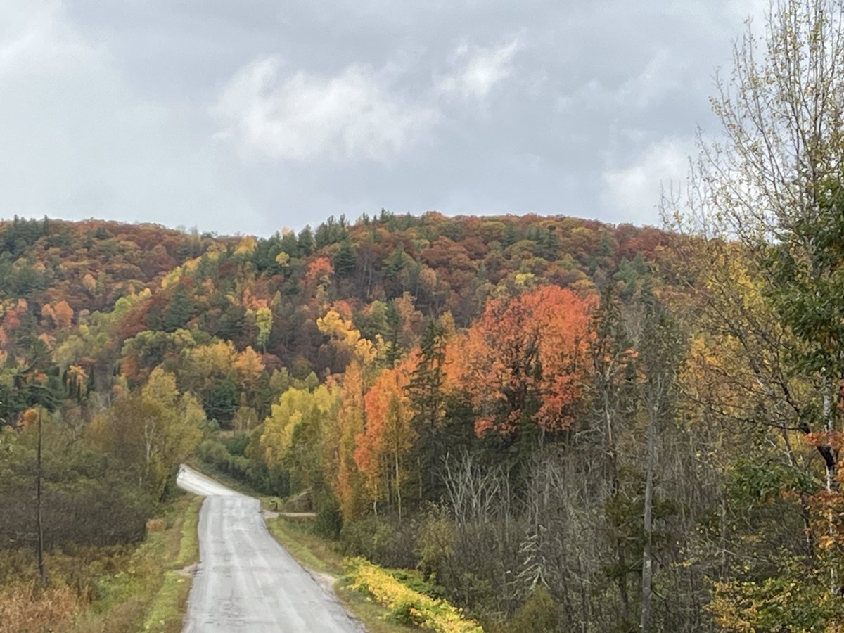 Coach_Brownie's tweet image. This is where you get your head right! #nature #fallviews ❤️🍁🍂