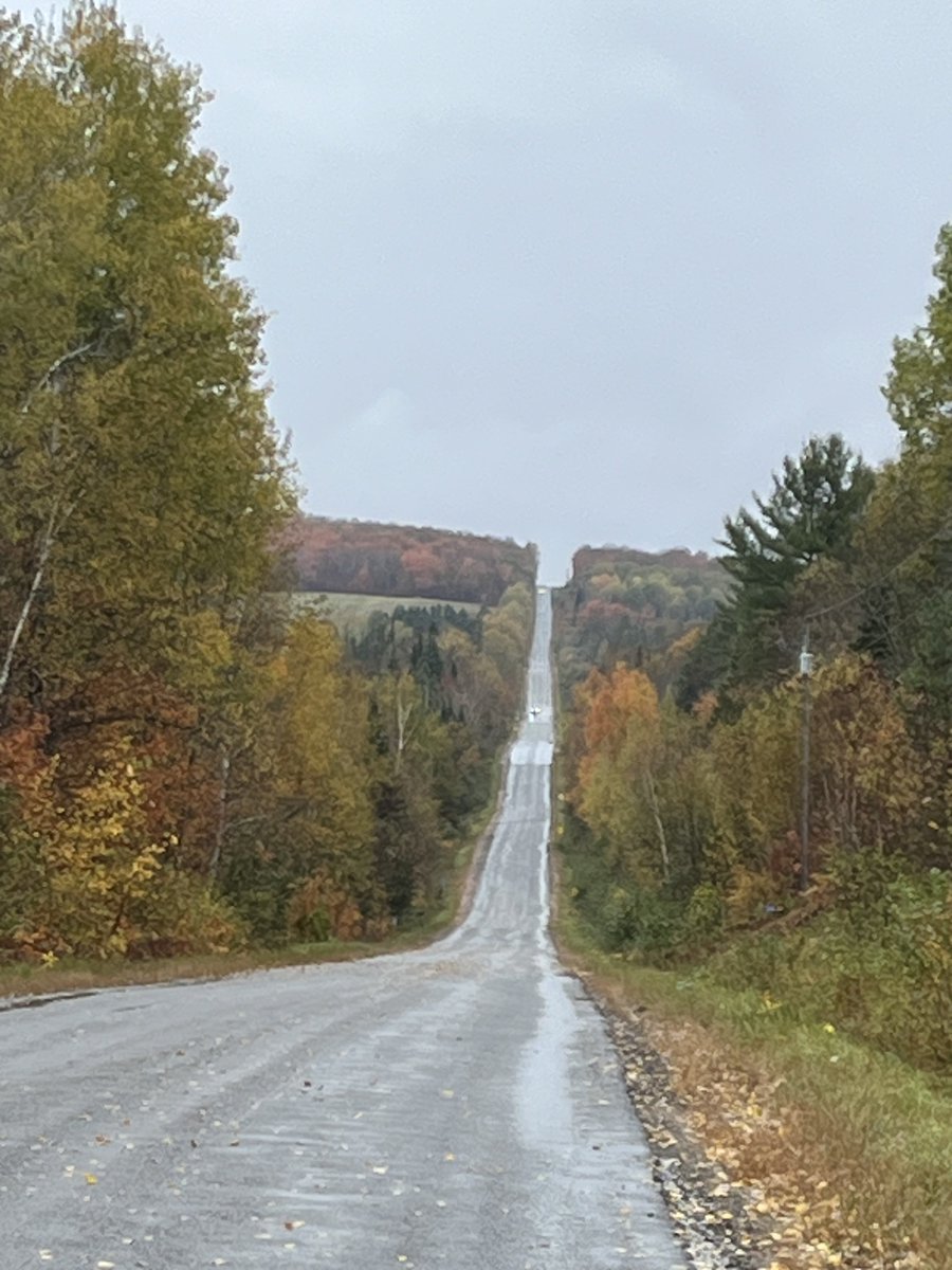 Coach_Brownie's tweet image. This is where you get your head right! #nature #fallviews ❤️🍁🍂