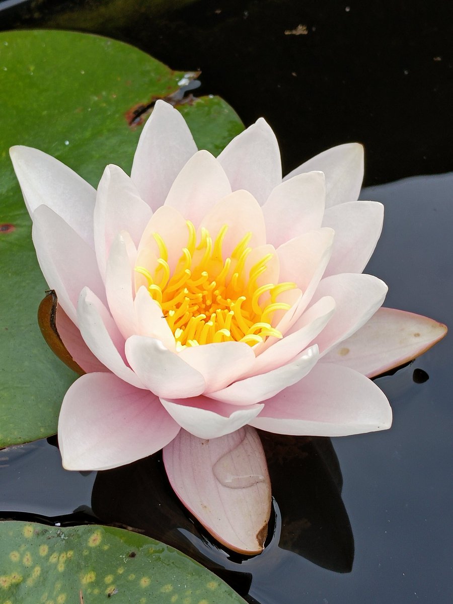 alan ridealgh tweet media