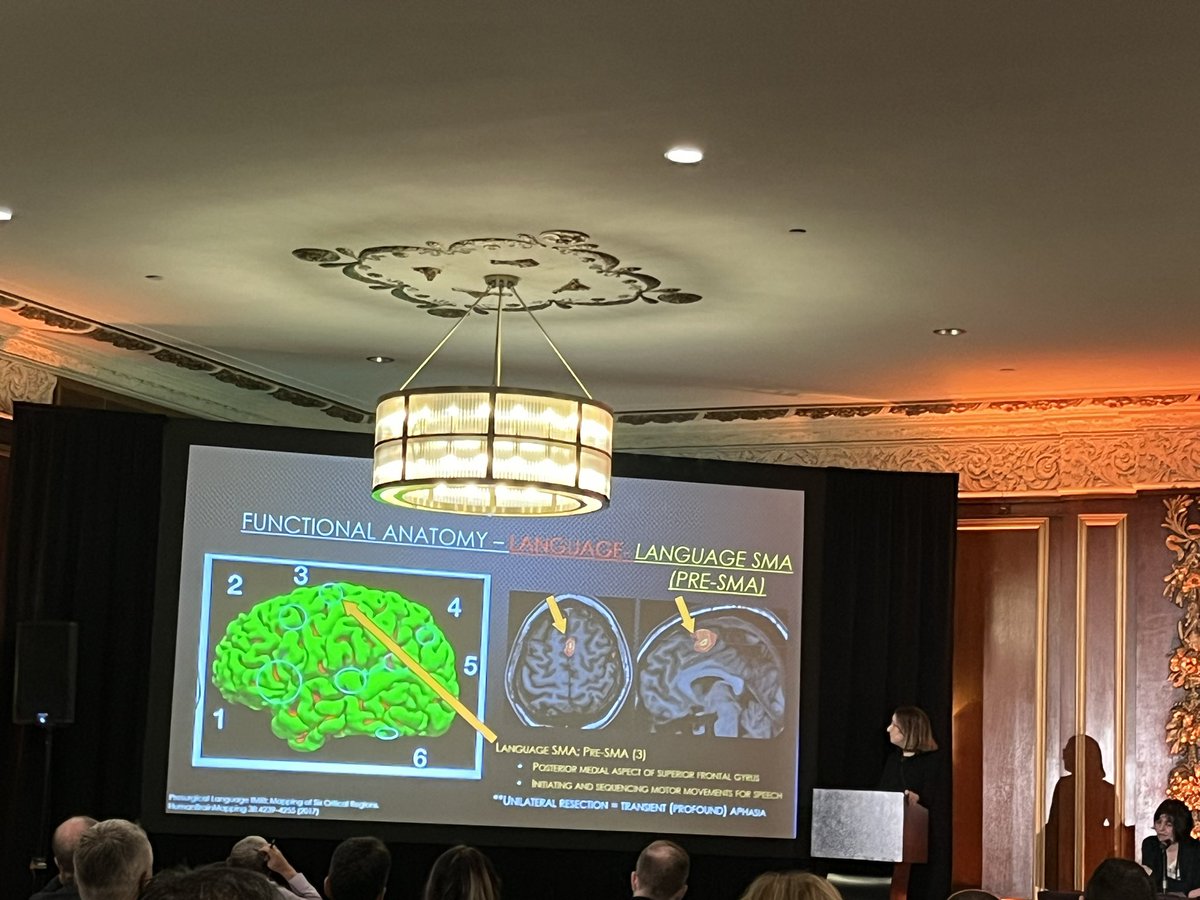 jana_ivanidze's tweet image. Great start to @theASFNR #ASFNR23 this morning with a ⭐️ studded #fMRI session, including an excellent overview talk by my @WCMRadiology colleague Dr. Kristen Leeman
