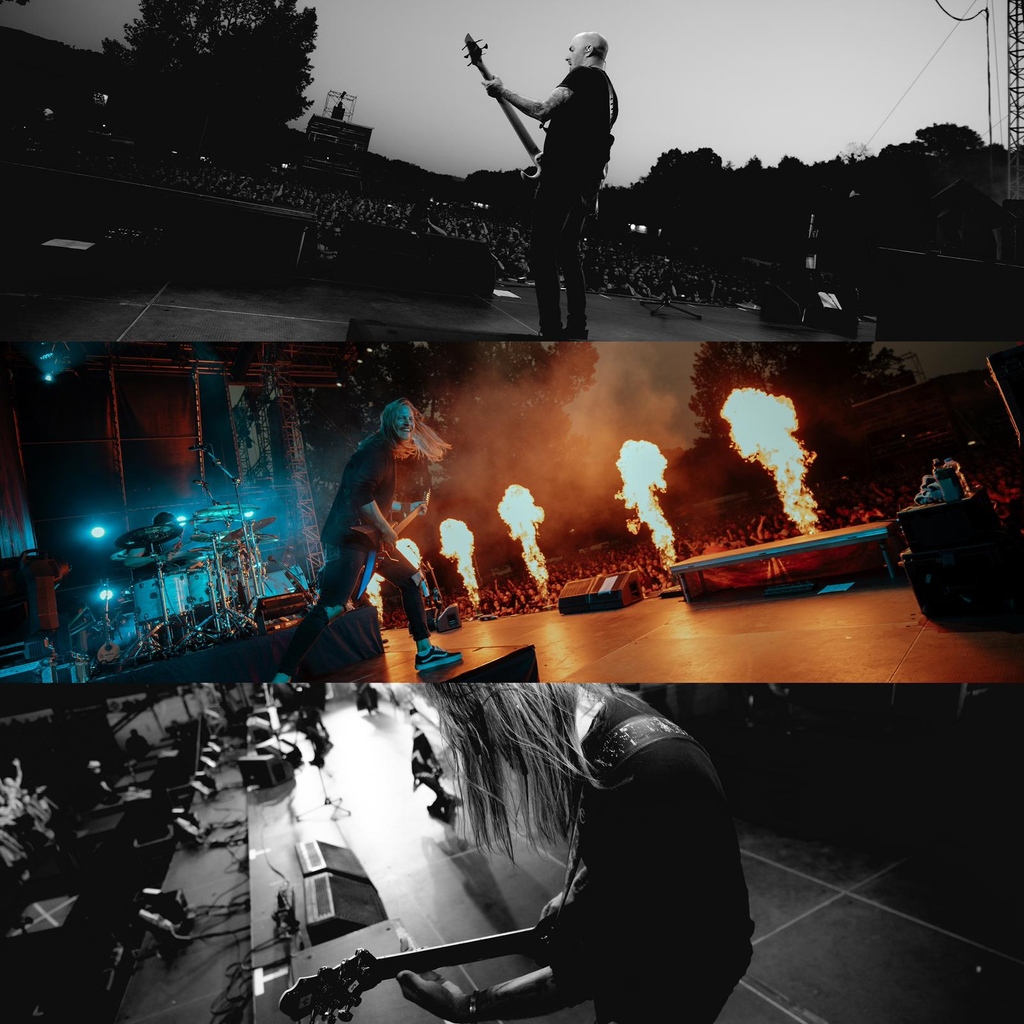 Eluveitie tweet media