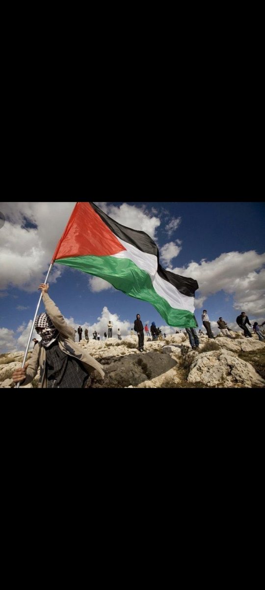 PropertyPros999's tweet photo. I stand with Palestine" https://t.co/1Zhuujxd00