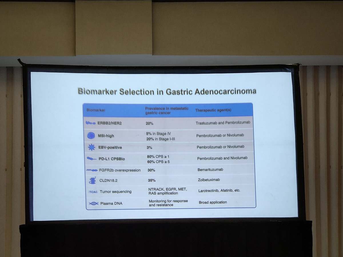Li Haoran, MD, PhD (@lihaoran) on Twitter photo #CAHON #NYOF conference: <a href="/YJanjigianMD/">Yelena Y. Janjigian MD</a> <a href="/MSKCancerCenter/">Memorial Sloan Kettering Cancer Center</a> discuss new agents & regimens for gastric cancer and patient selection using biomarkers. Exciting advancements in #precisiononcology! 👩⚕️🔬 #CAHON #NYOF conference: <a href="/YJanjigianMD/">Yelena Y. Janjigian MD</a> <a href="/MSKCancerCenter/">Memorial Sloan Kettering Cancer Center</a> discuss new agents & regimens for gastric cancer and patient selection using biomarkers. Exciting advancements in #precisiononcology! 👩⚕️🔬