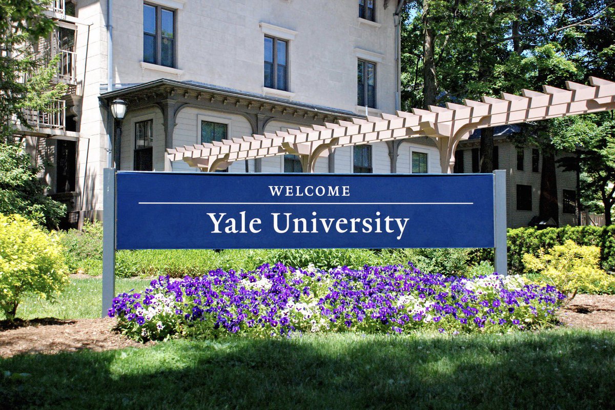 Yale Üniversitesi Finansal Piyasalar kursu bugün başlıyor ve tamamen ücretsiz! 📚✨

Finansal piyasalara dair 33 saatlik bu ücretsiz eğitim, önbilgi gerektirmiyor ve finans dünyasının kapılarını aralıyor. İşte kursun içeriğinden bazı çarpıcı başlıklar:

📊 Finansal Piyasaların