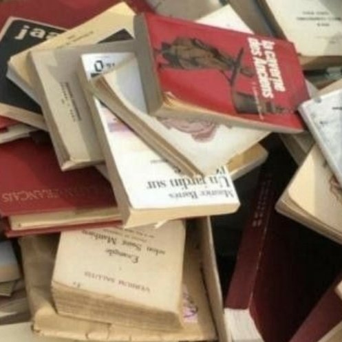 ɴɪɢʜᴛꜱꜱ ִֶָ࣪☾. tweet media