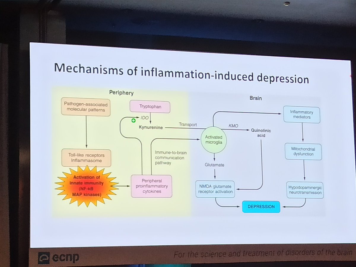 Thomaz Bastiaanssen, PhD tweet media
