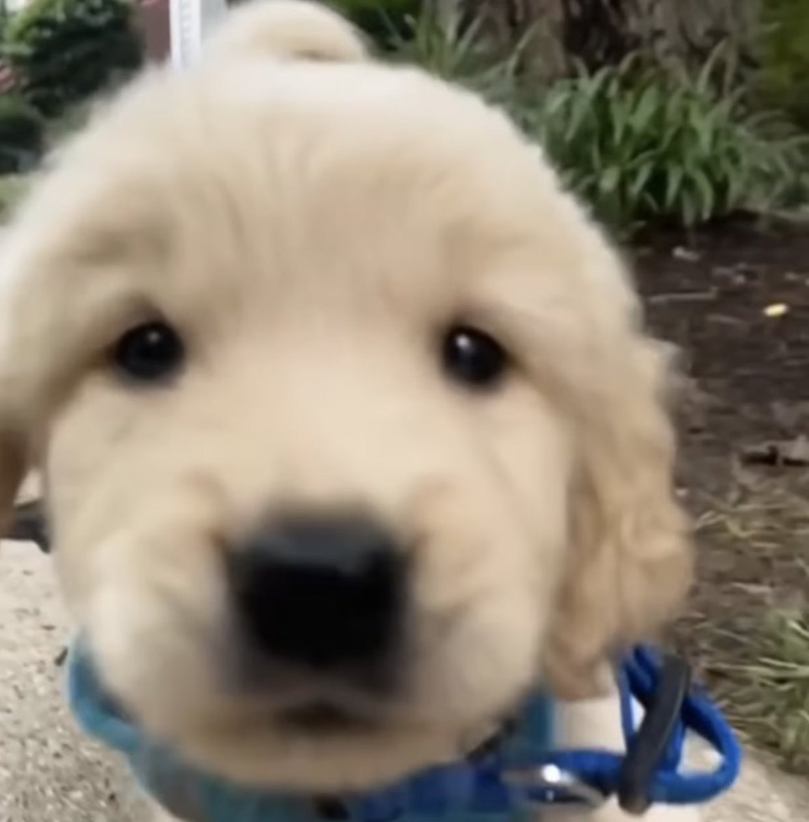 takemybear 🐶 tweet media