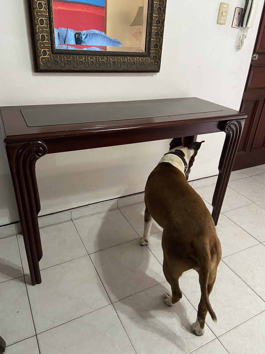 #YoSoyElCafé tweet media