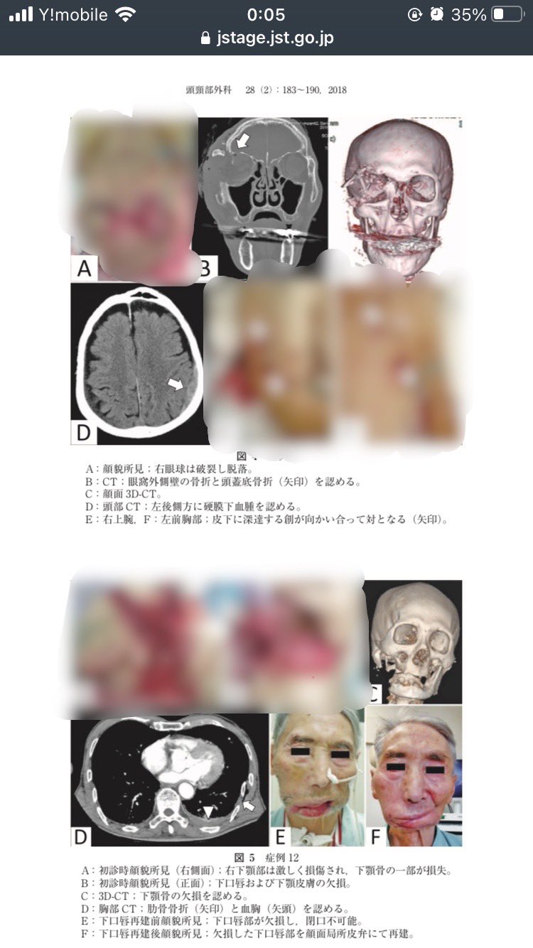 活動歴および当時の関連ビジュアル記録