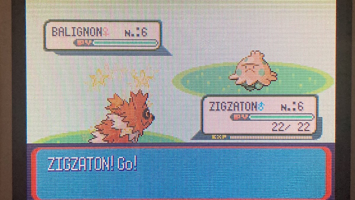 [218✨] Voici la phase 1 pour Balignon au Bois Clémenti après 864 RE’s. 
Je l’ai pas vu apparaître et j’ai dû voir la transition Dex pour être sûr. Je ne l’avais pas donc je suis plutôt content
#shiny #ShinyPokemon