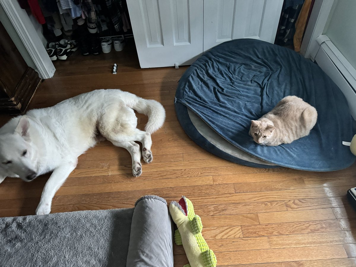 GoodBoyJet's tweet photo. SHARE IS CARE https://t.co/yPkDkXNGlm